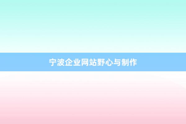 宁波企业网站野心与制作